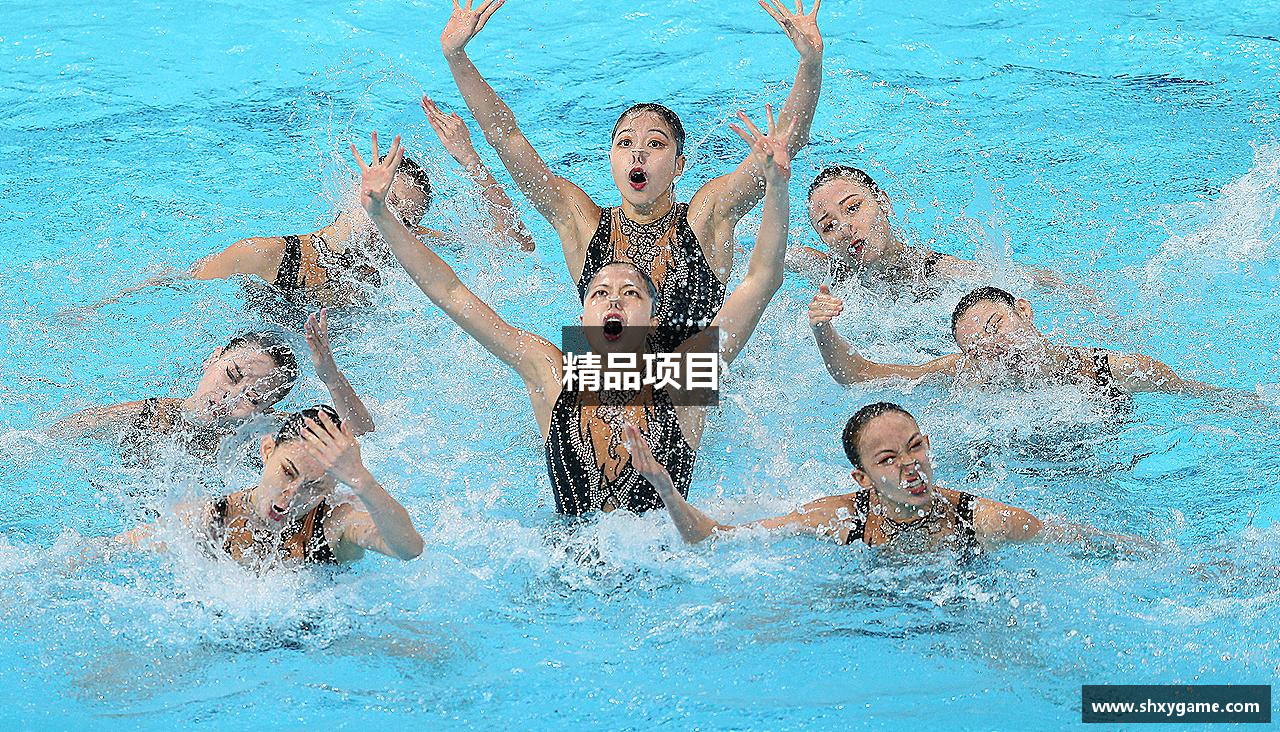 精品项目